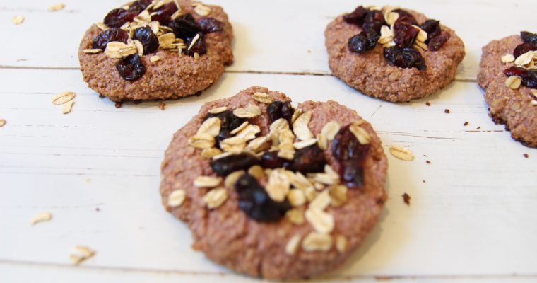 POWERFUL OAT COOKIES WITH CRANBERRIES